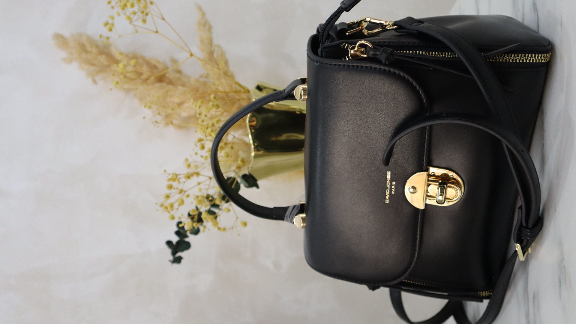 Sac a Main David Jones Paris Noir 3